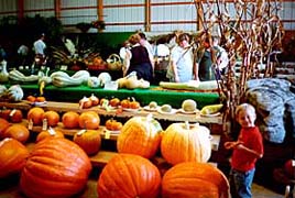 [photo, Pumpkins, Frederick County Fair, Frederick, Maryland]