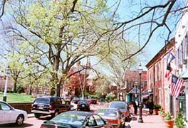 [photo, State Circle near Maryland Ave., Annapolis, Maryland]