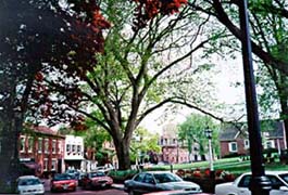 [photo, State Circle near Maryland Ave., Annapolis, Maryland]